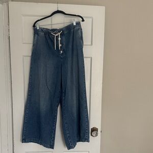 Pilcro denim pull on pants